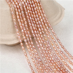 Freshwater Pearl Beads