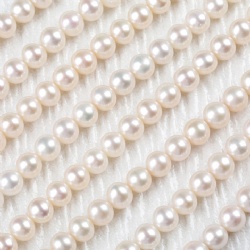 Freshwater Pearl Beads